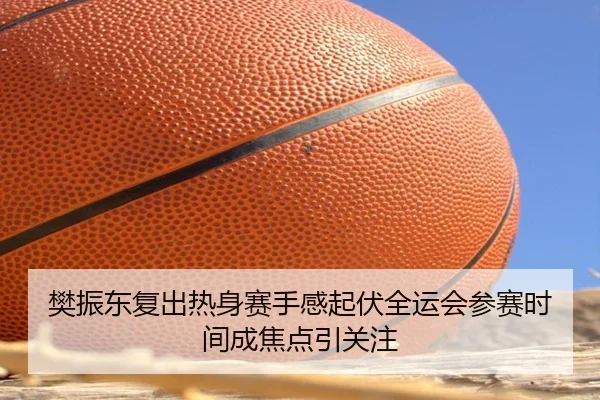 樊振东复出热身赛手感起伏全运会参赛时间成焦点引关注