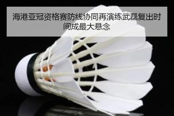 海港亚冠资格赛防线协同再演练武磊复出时间成最大悬念